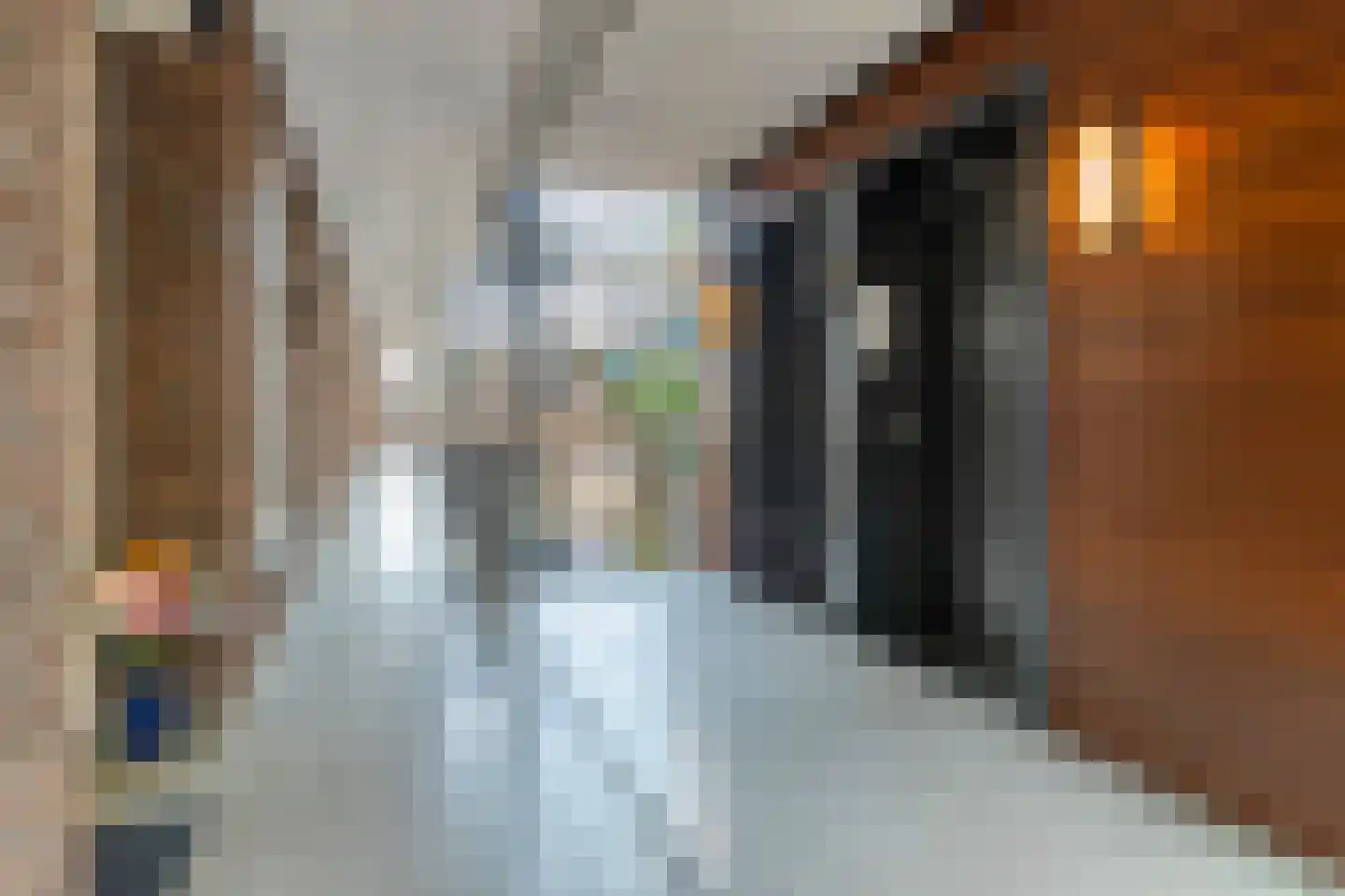 Hamsterstraat 93 Helmond thumbnail 12