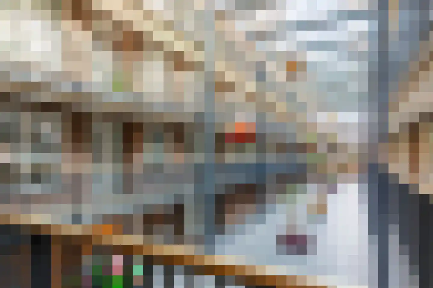 Hamsterstraat 93 Helmond thumbnail 13