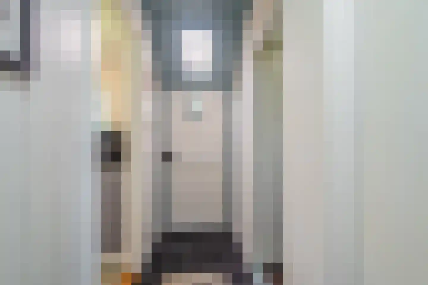 Hamsterweg 16 Bellingwolde thumbnail 11