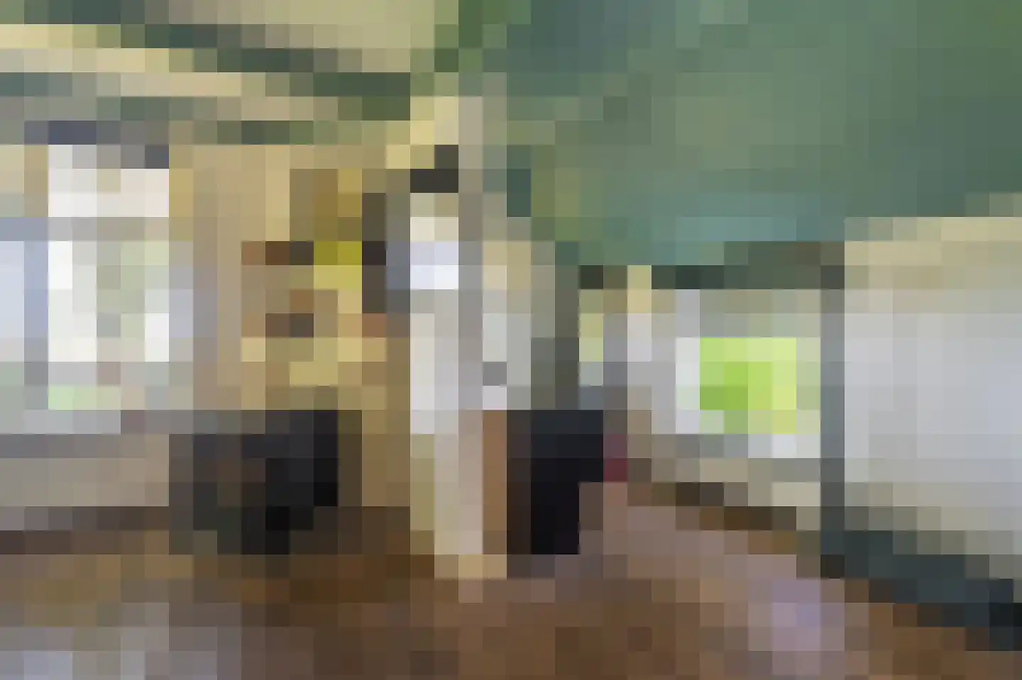 Hamsterweg 16 Bellingwolde thumbnail 16