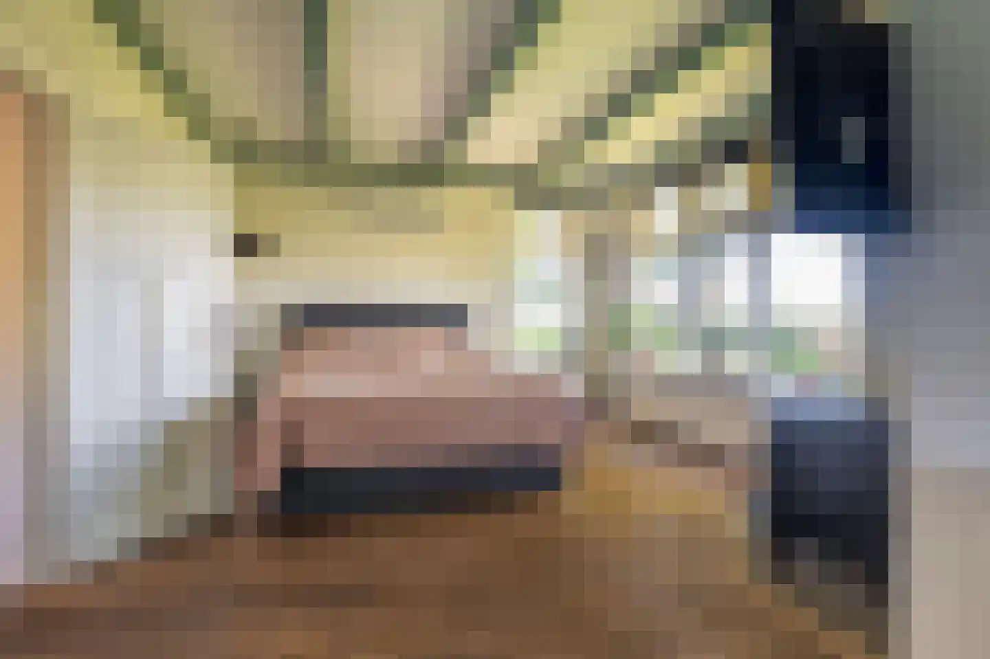 Hamsterweg 16 Bellingwolde thumbnail 18