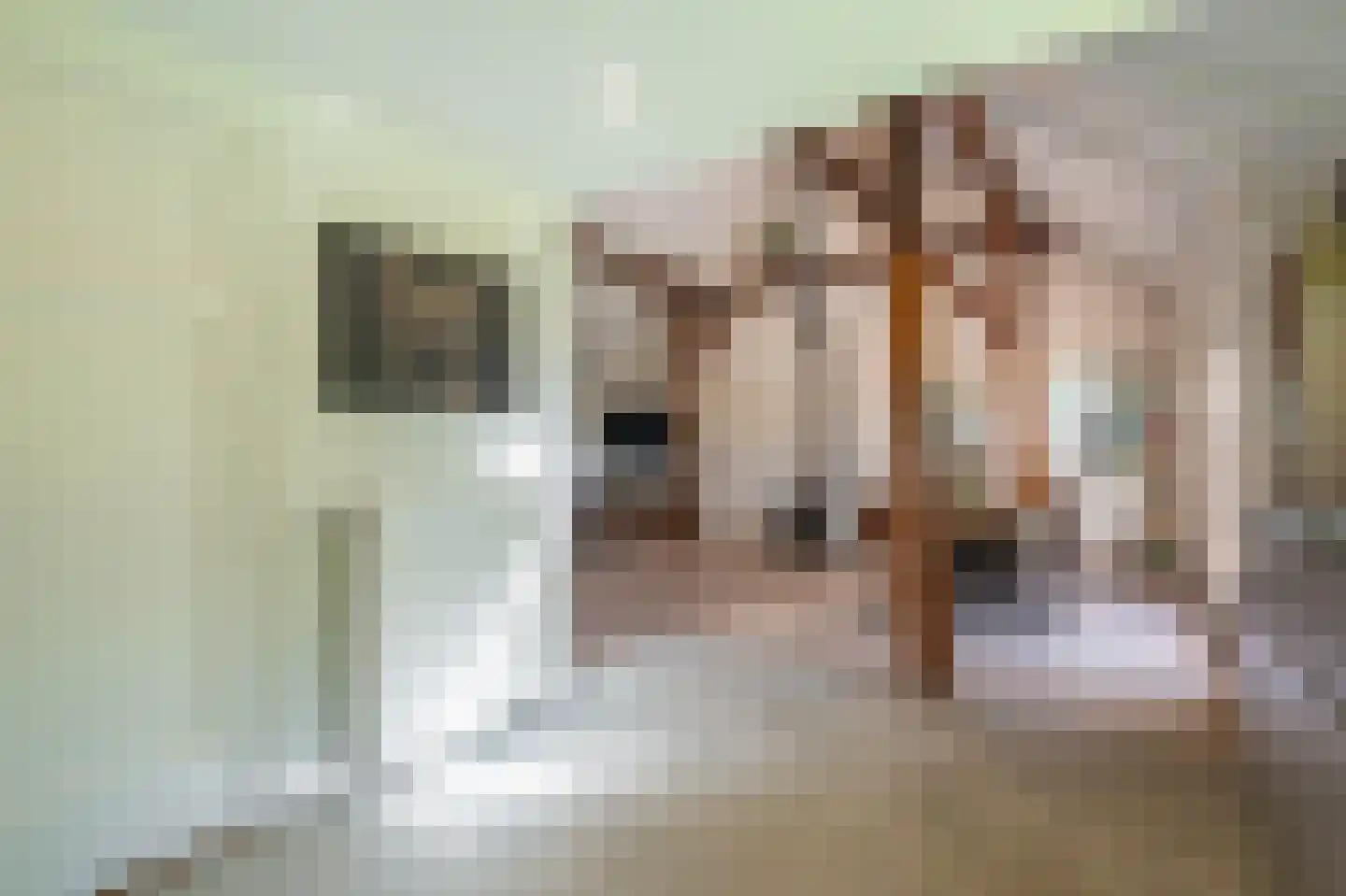 Hamsterweg 16 Bellingwolde thumbnail 25
