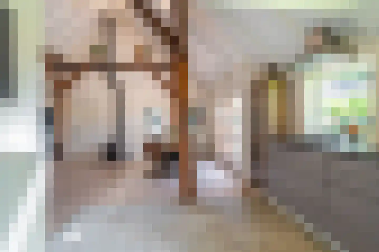 Hamsterweg 16 Bellingwolde thumbnail 26