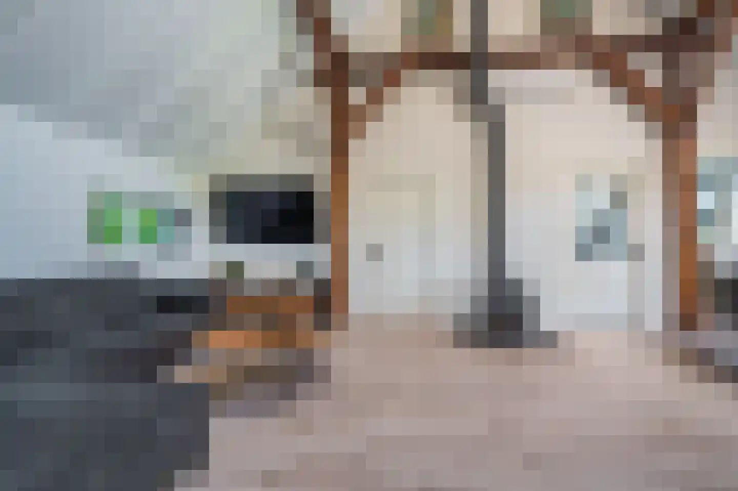 Hamsterweg 16 Bellingwolde thumbnail 30