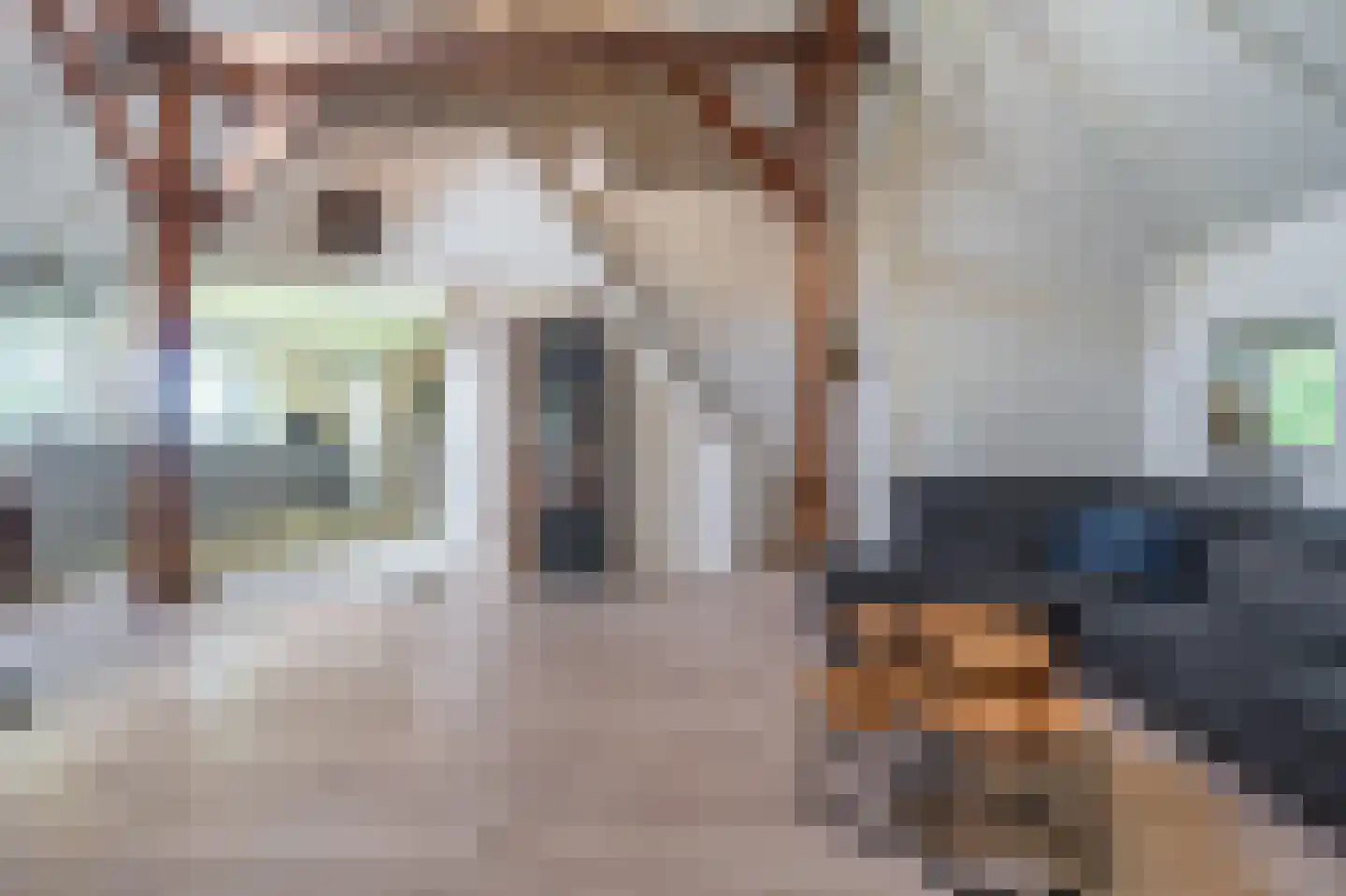Hamsterweg 16 Bellingwolde thumbnail 31