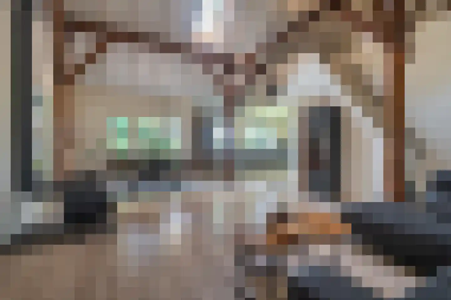 Hamsterweg 16 Bellingwolde thumbnail 33