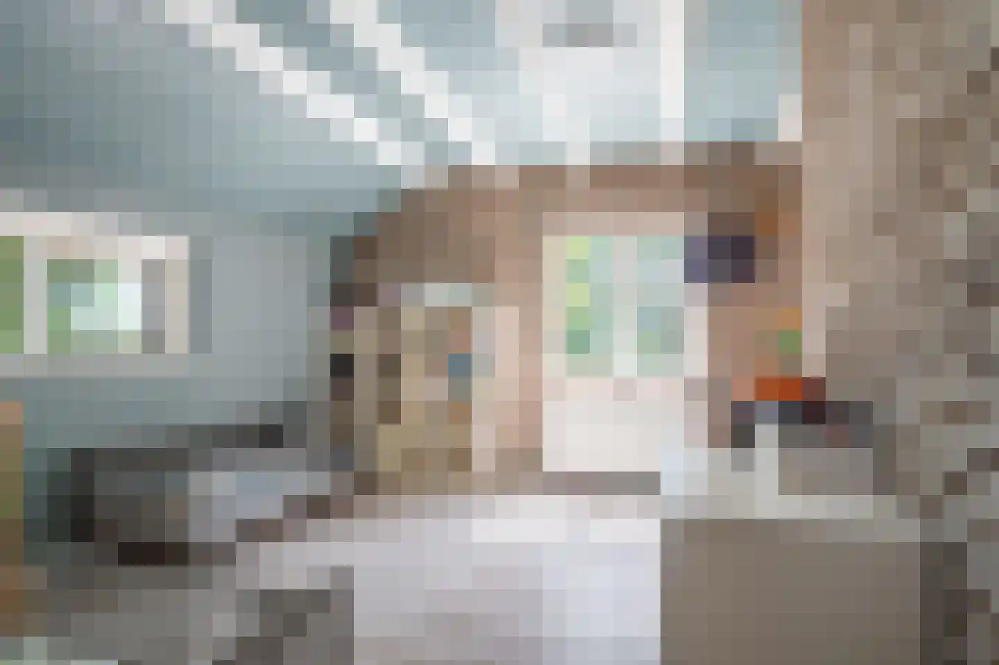 Hamsterweg 16 Bellingwolde thumbnail 36
