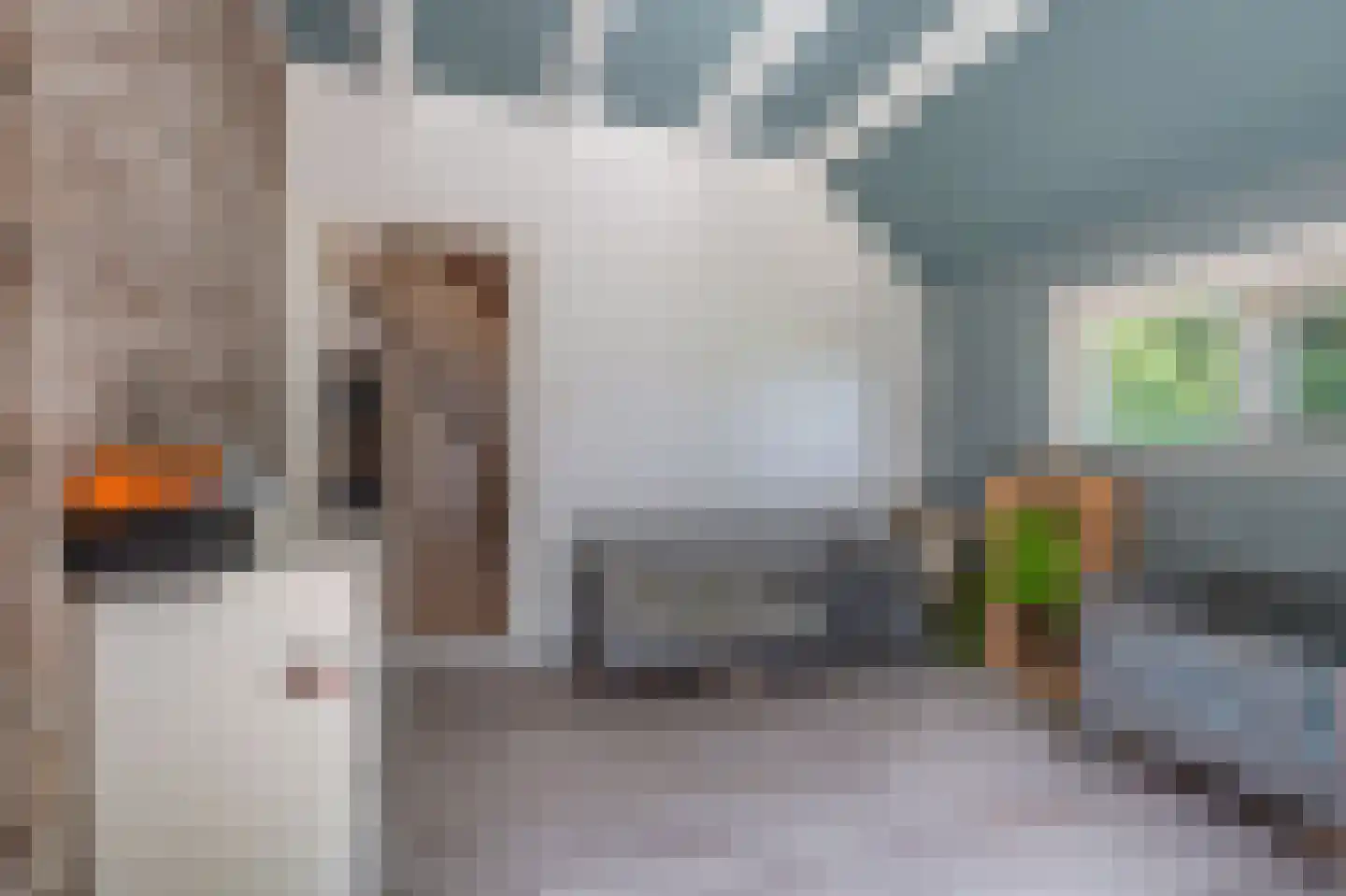 Hamsterweg 16 Bellingwolde thumbnail 37