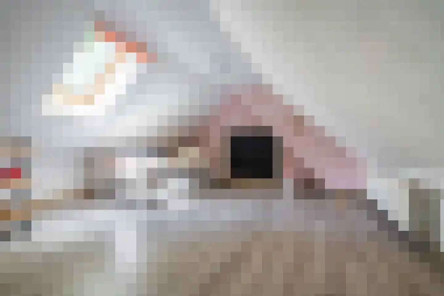Hamsterweg 16 Bellingwolde thumbnail 43