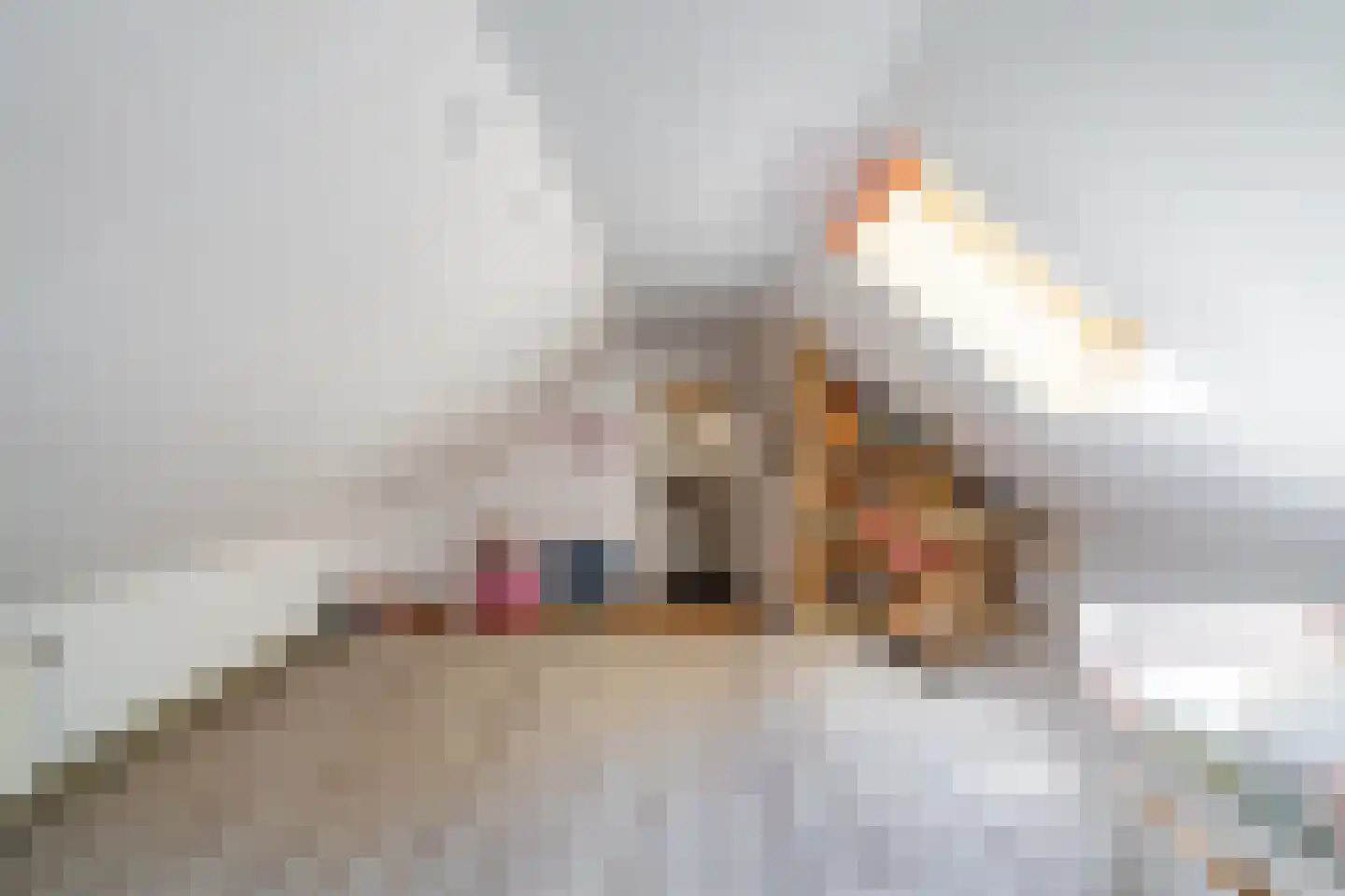 Hamsterweg 16 Bellingwolde thumbnail 44