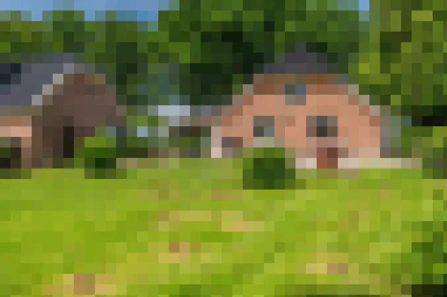 Hamsterweg 16 Bellingwolde thumbnail 57