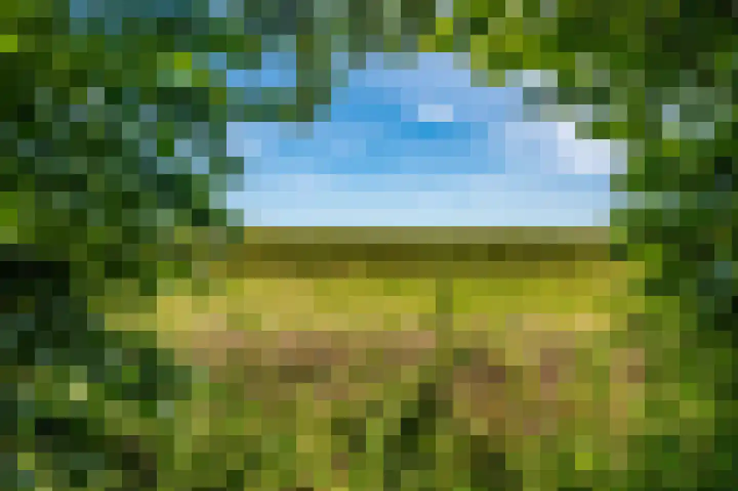 Hamsterweg 16 Bellingwolde thumbnail 59