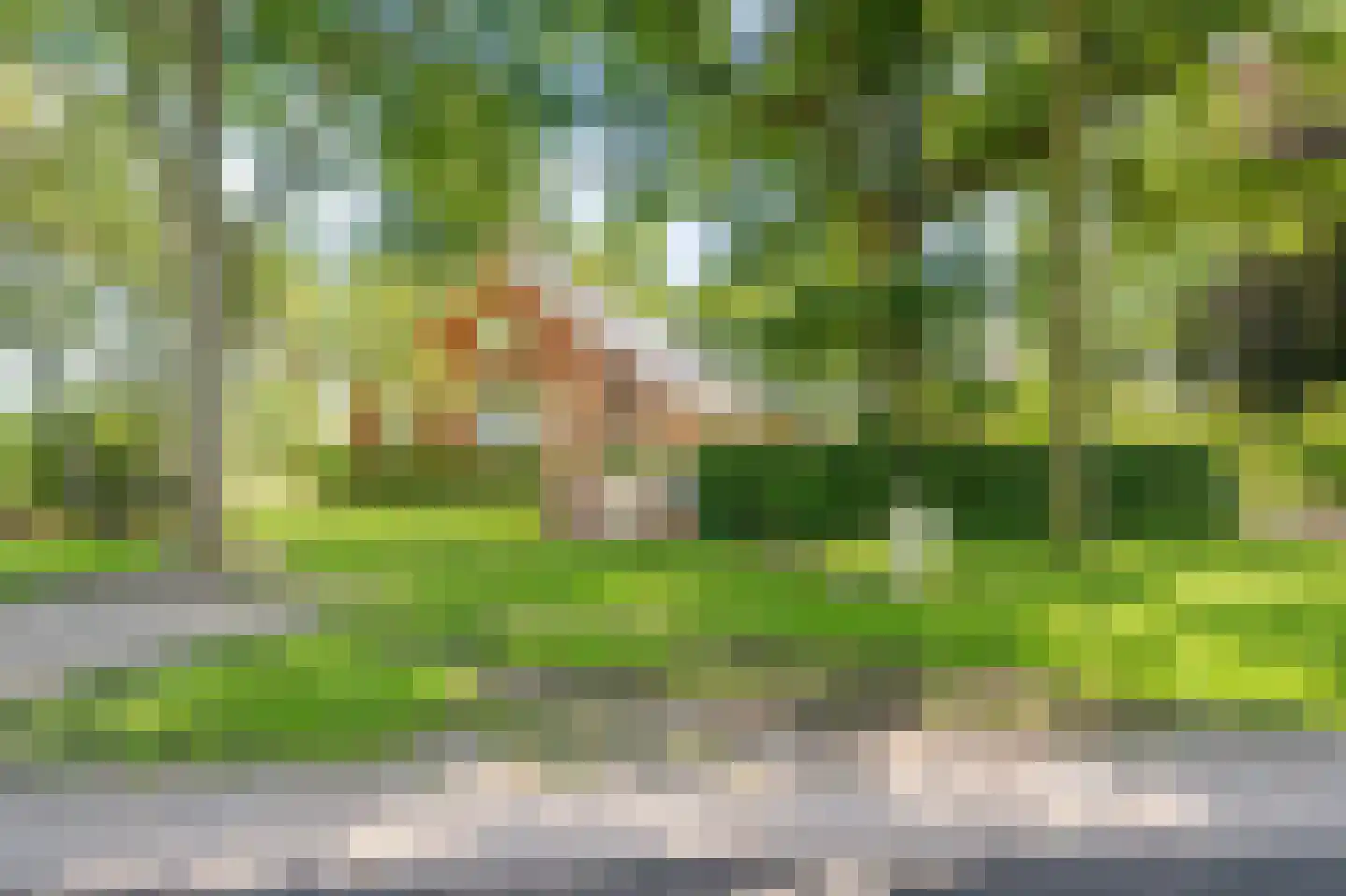 Hamsterweg 16 Bellingwolde thumbnail 6