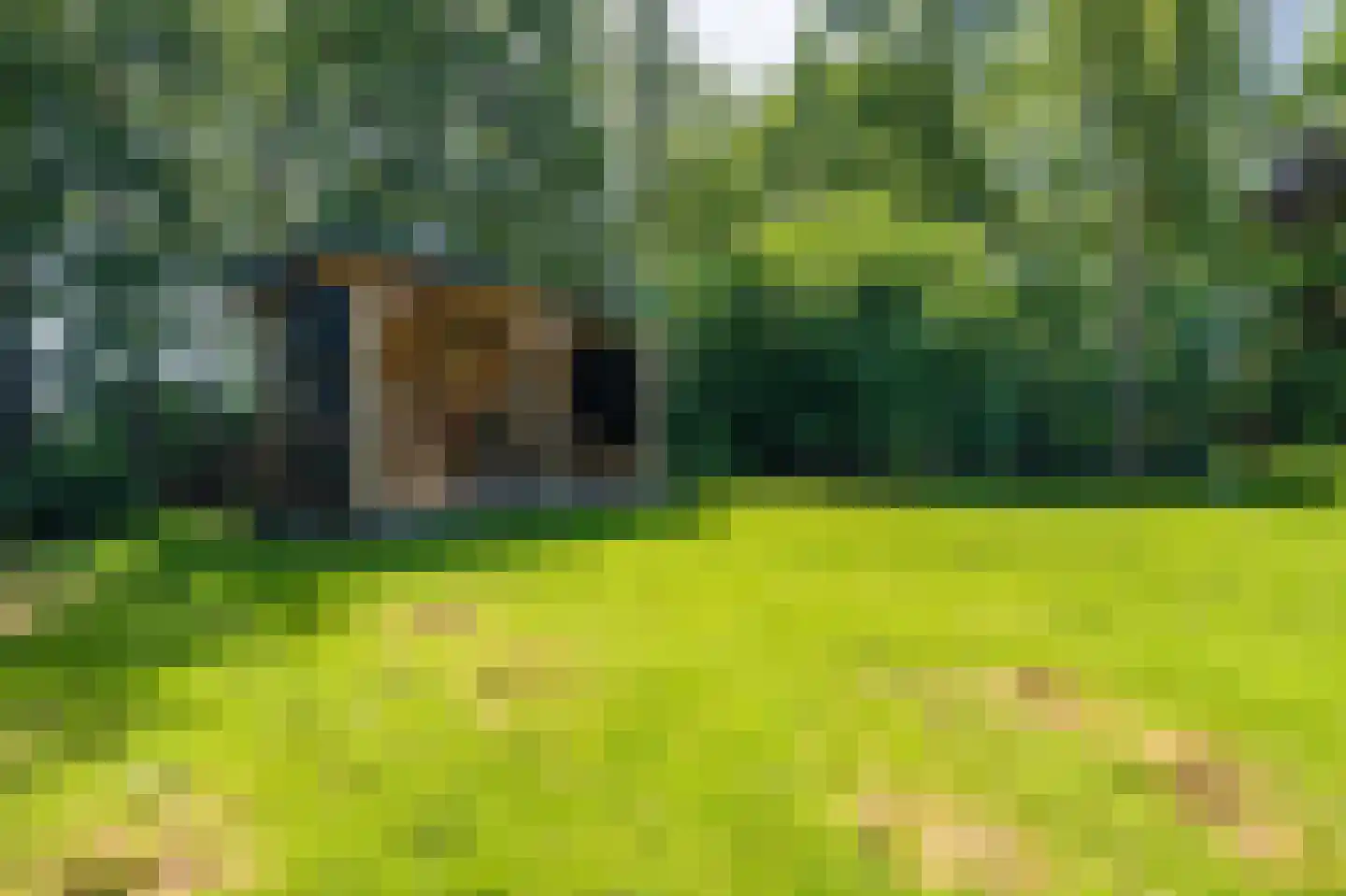 Hamsterweg 16 Bellingwolde thumbnail 61