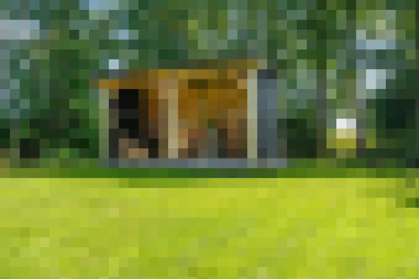 Hamsterweg 16 Bellingwolde thumbnail 62