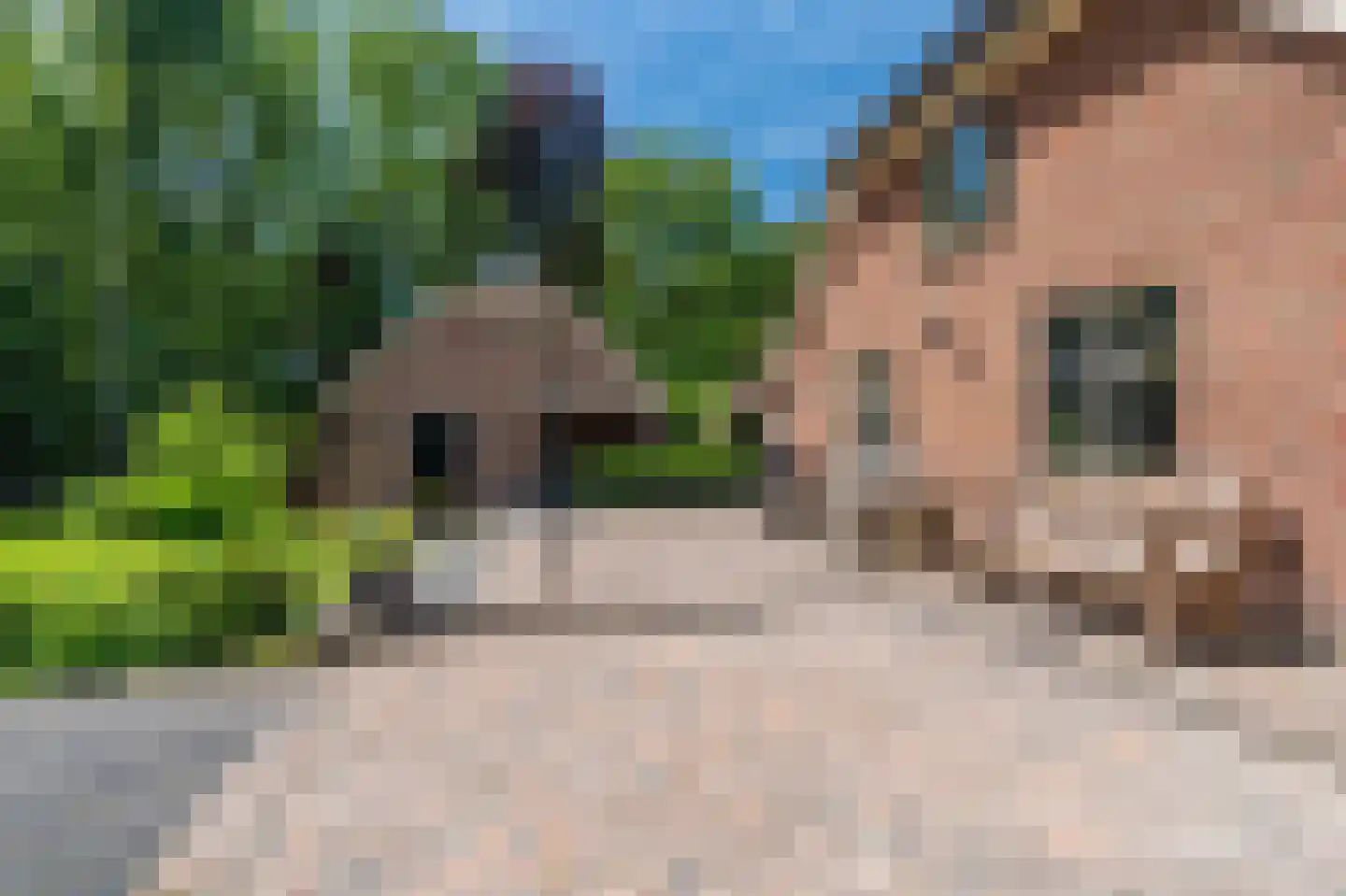 Hamsterweg 16 Bellingwolde thumbnail 63