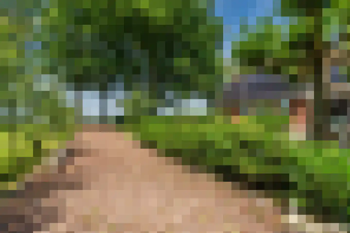 Hamsterweg 16 Bellingwolde thumbnail 64