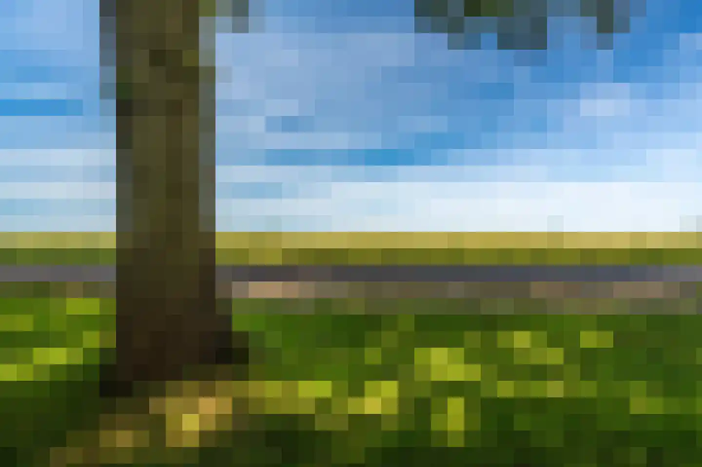 Hamsterweg 16 Bellingwolde thumbnail 65