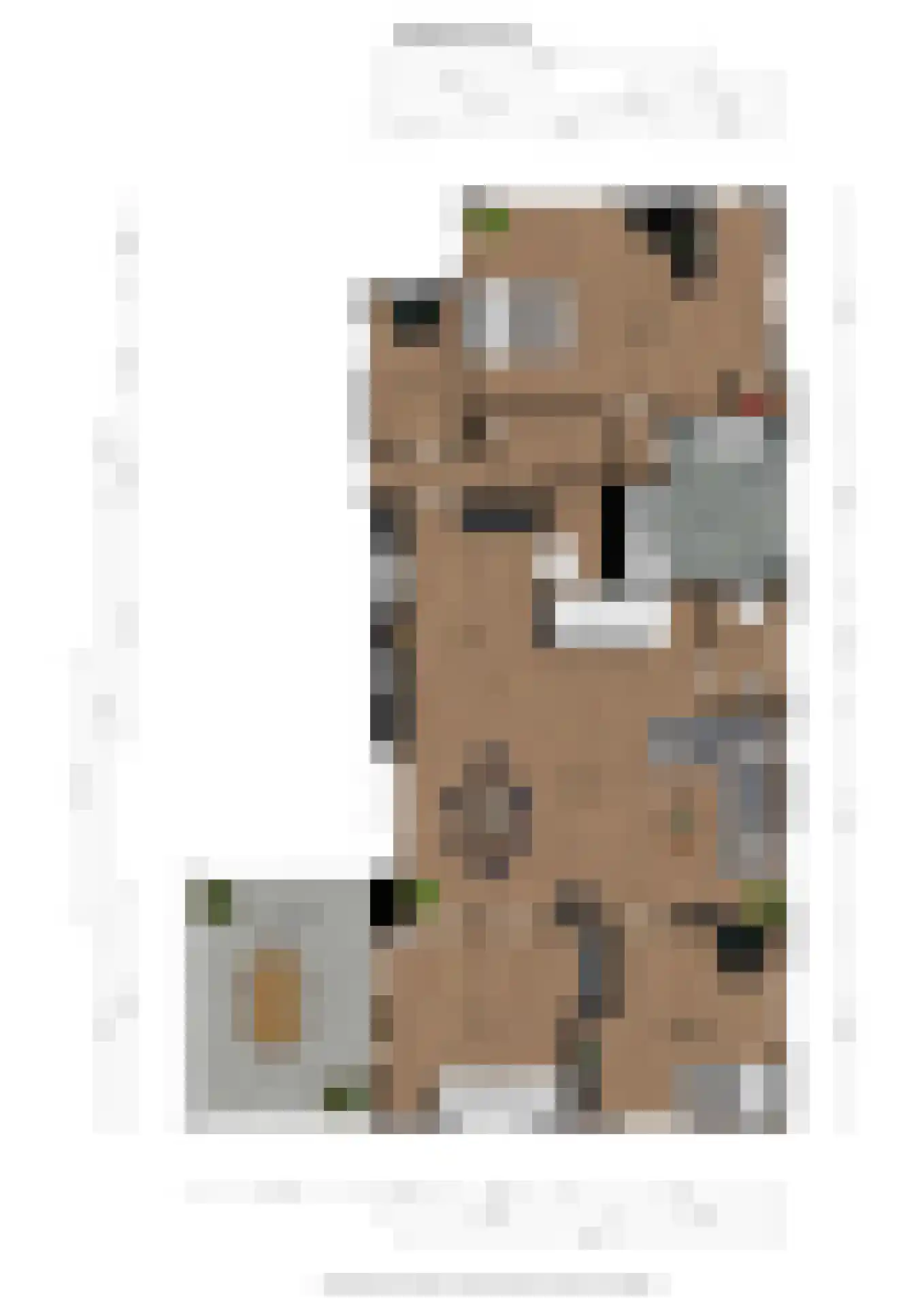 Hamsterweg 16 Bellingwolde thumbnail 68