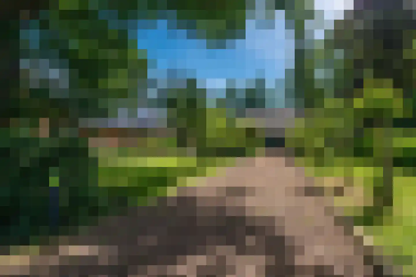 Hamsterweg 16 Bellingwolde thumbnail 7