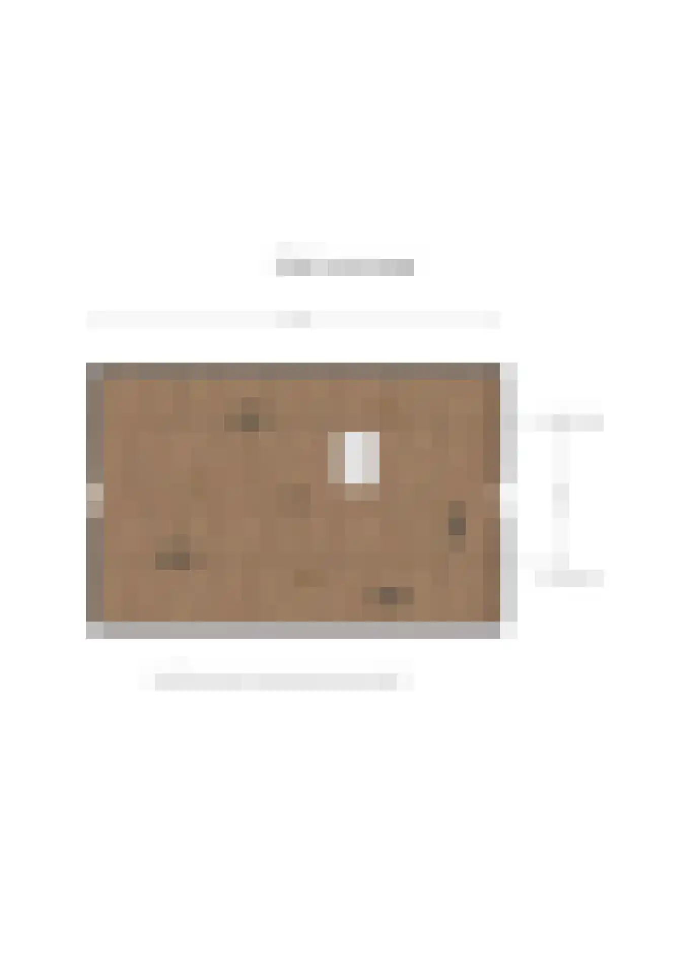 Hamsterweg 16 Bellingwolde thumbnail 72