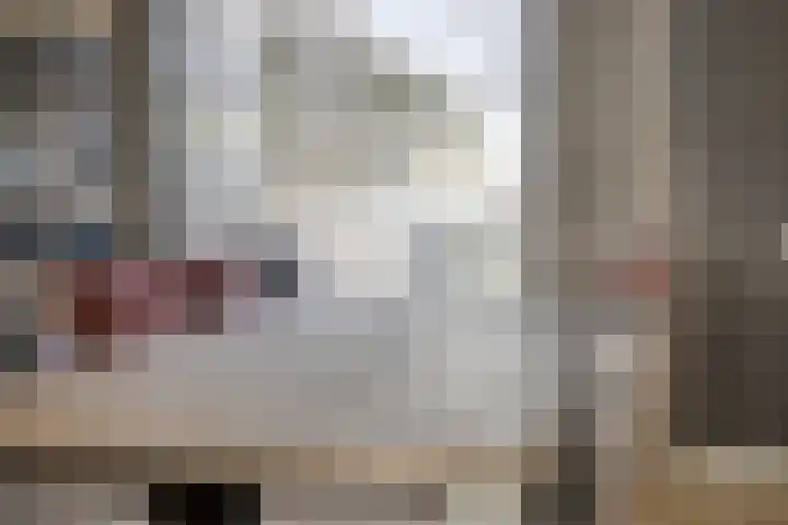 Hamsterweide 22 Veghel thumbnail 16
