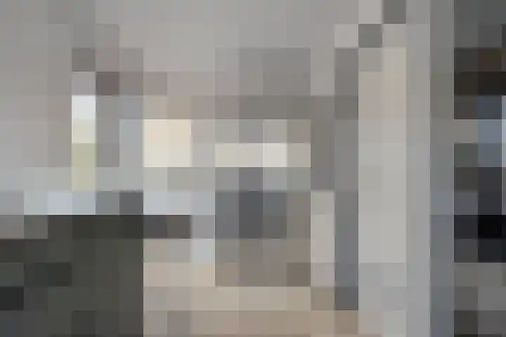 Hamsterweide 22 Veghel thumbnail 20