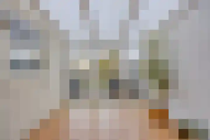 Hamsterweide 22 Veghel thumbnail 25