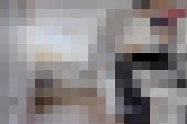 Hamsterweide 22 Veghel thumbnail 33