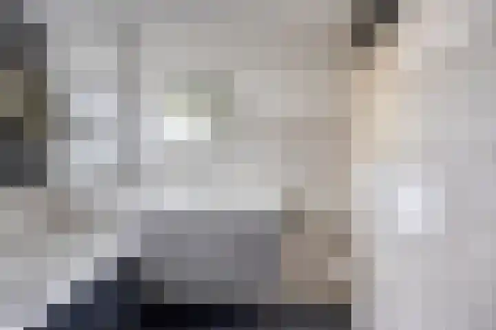 Hamsterweide 22 Veghel thumbnail 36