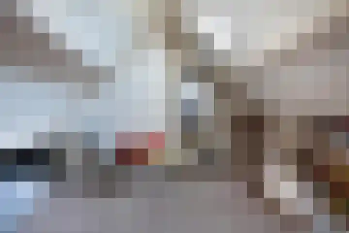 Hamsterweide 22 Veghel thumbnail 41