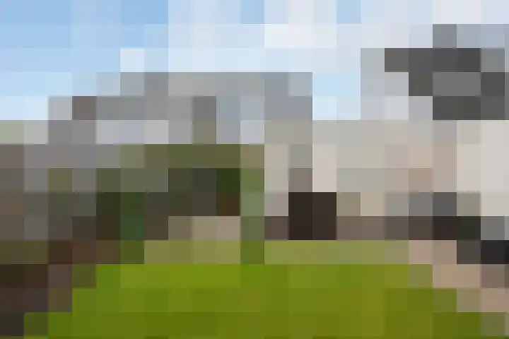 Hamsterweide 22 Veghel thumbnail 42