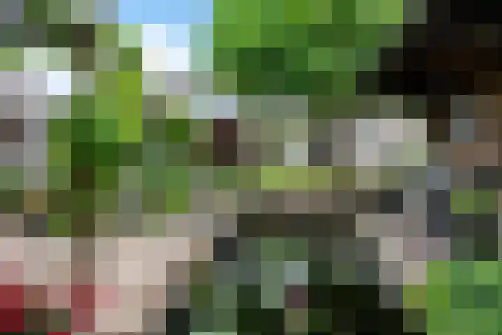 Hamsterweide 22 Veghel thumbnail 43