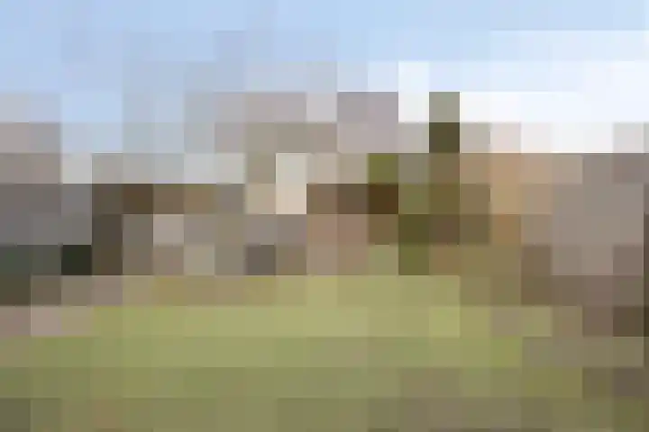 Hamsterweide 22 Veghel thumbnail 44