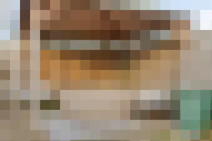 Hamsterweide 22 Veghel thumbnail 45