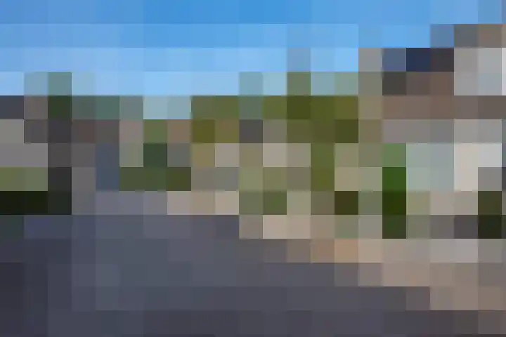 Hamsterweide 22 Veghel thumbnail 47
