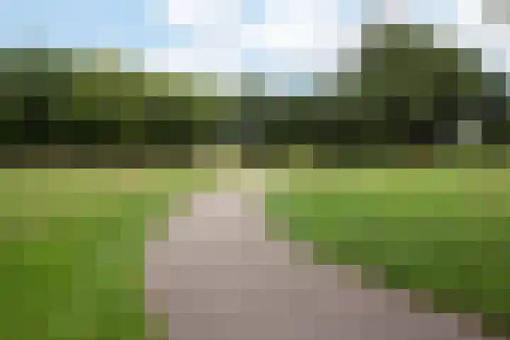 Hamsterweide 22 Veghel thumbnail 48