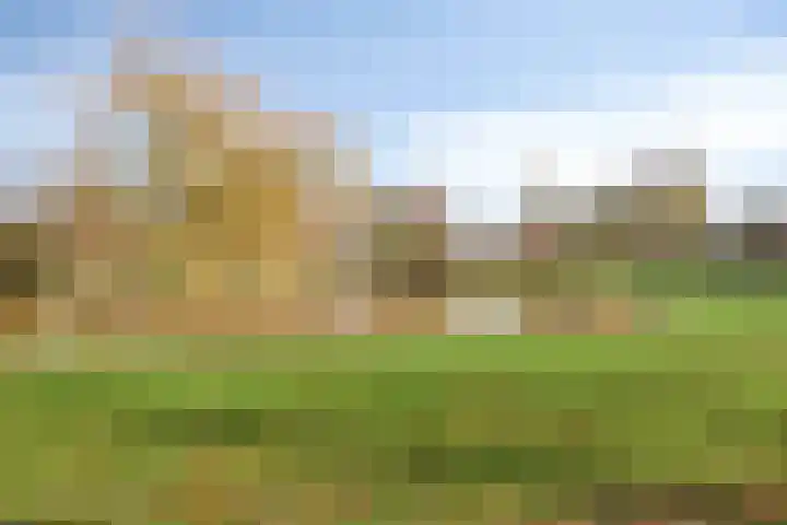 Hamsterweide 22 Veghel thumbnail 49