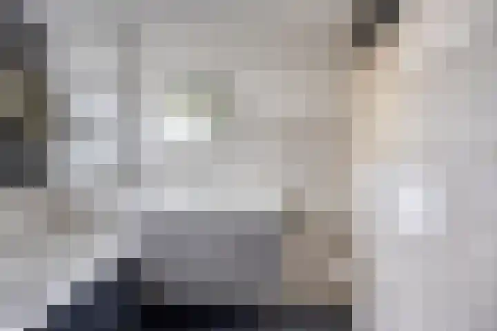 Hamsterweide 22 Veghel thumbnail 6