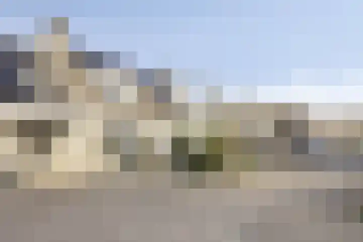 Hamsterweide 22 Veghel thumbnail 8