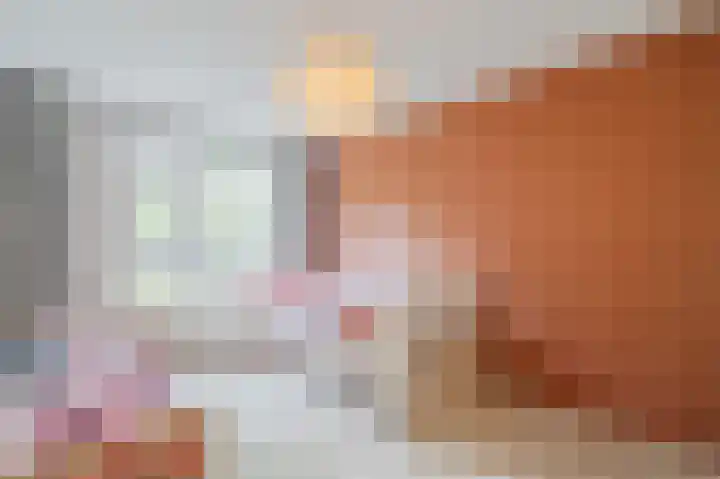 Hamsterweide 9 Nieuwegein thumbnail 18