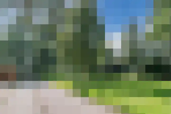 Hamsterweide 9 Nieuwegein thumbnail 41