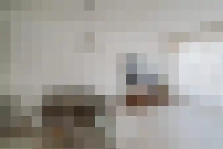 Hamsterweide 9 Nieuwegein thumbnail 5