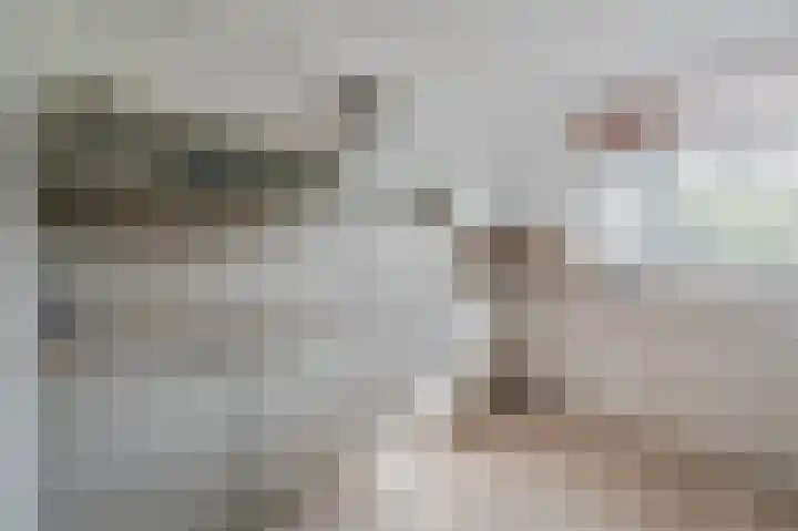 Hamsterweide 9 Nieuwegein thumbnail 8