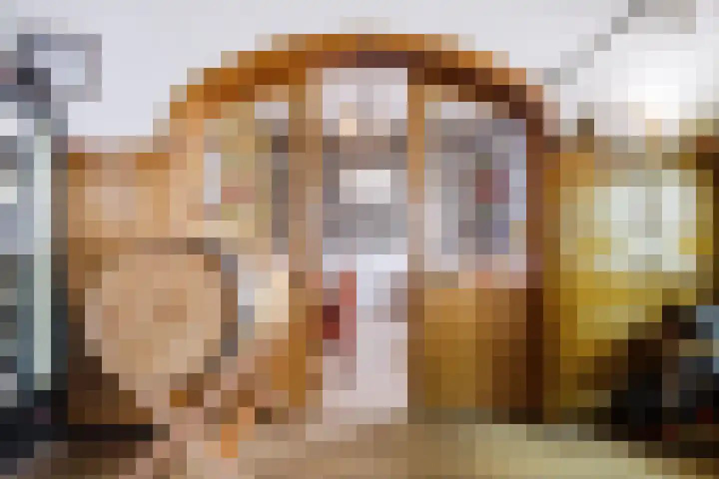 Hamstraat 1 Grave thumbnail 11