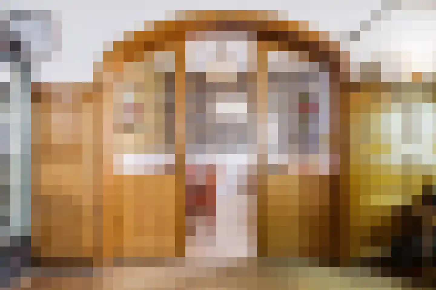 Hamstraat 1 Grave thumbnail 12