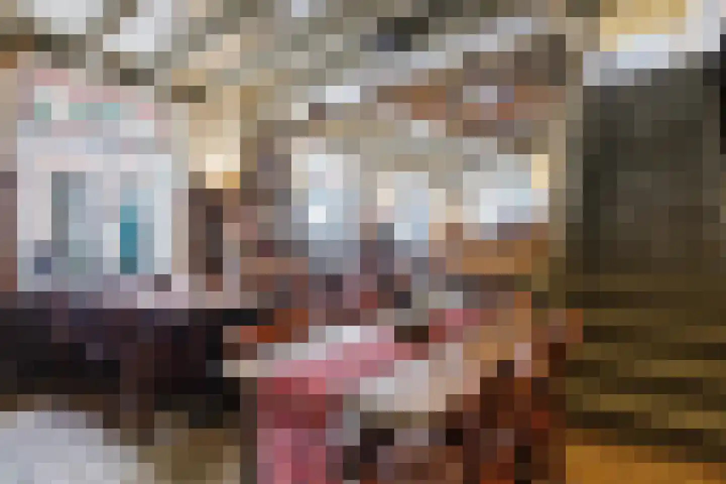 Hamstraat 1 Grave thumbnail 15