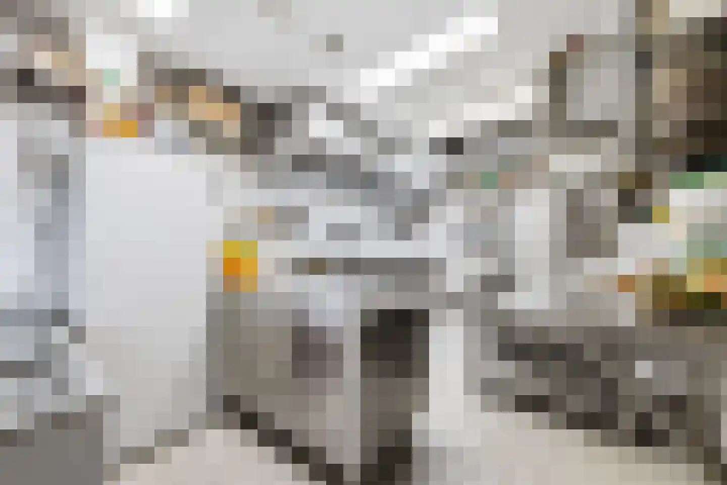 Hamstraat 1 Grave thumbnail 23