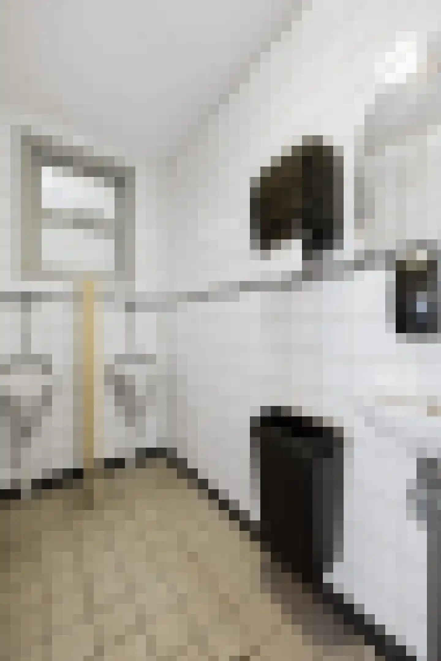 Hamstraat 1 Grave thumbnail 26