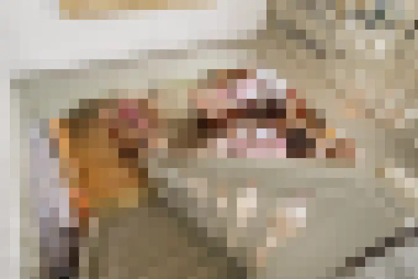 Hamstraat 1 Grave thumbnail 30